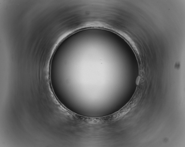 X0000101200815200806271349