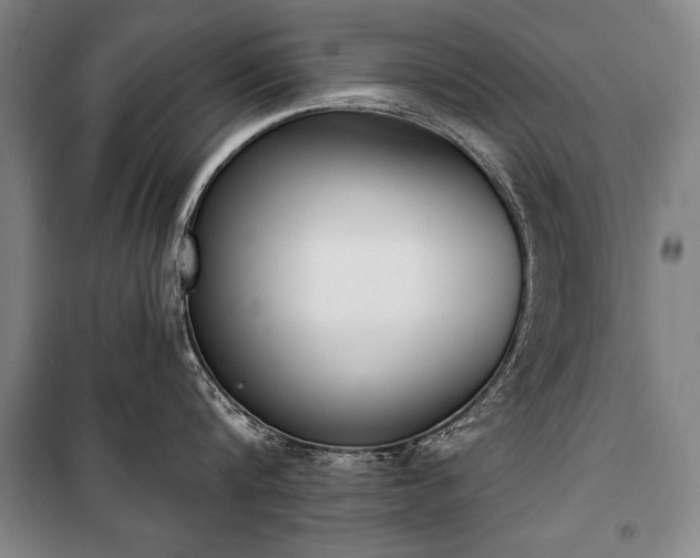 X0000101200816200806271349