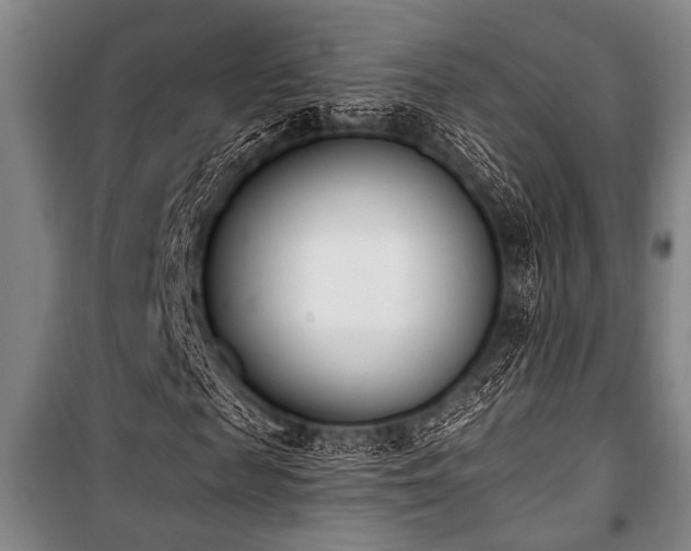 X0000101200817200806271349