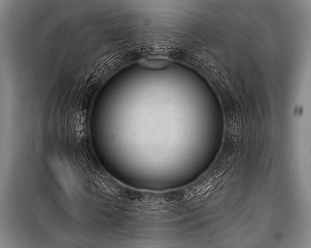 X0000101200818200806271349