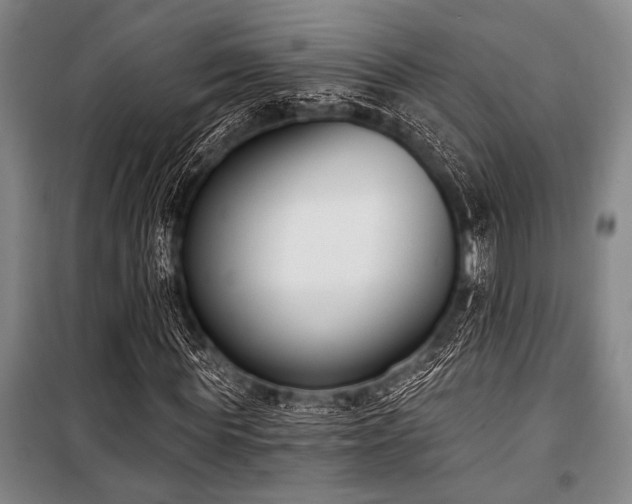 X0000101200819200806271349