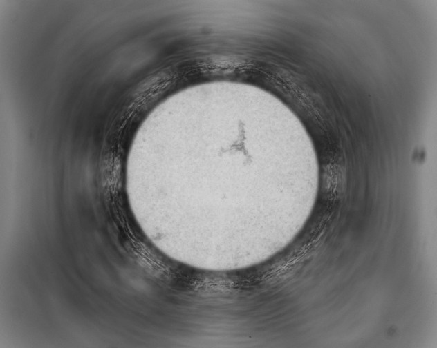 X0000101200820200806271349