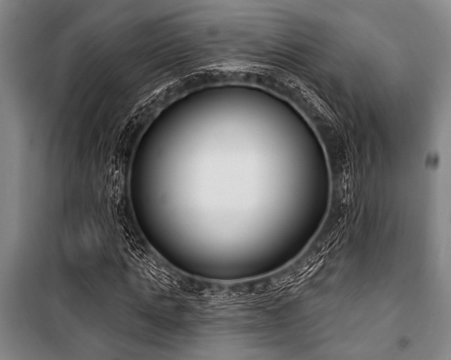X0000101200821200806271349