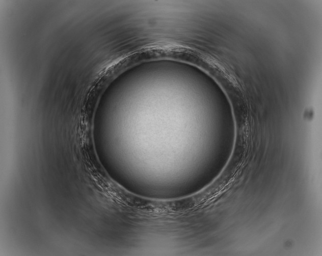 X0000101200822200806271349