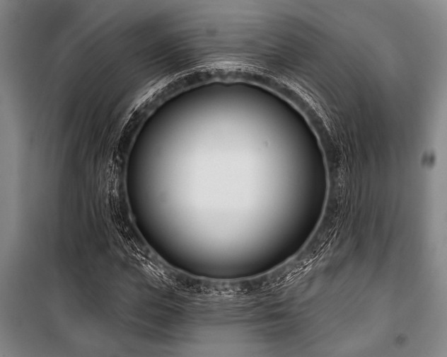 X0000101200823200806271349