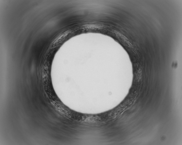 X0000101200824200806271349