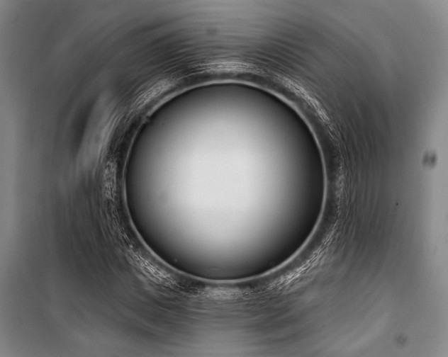 X0000101200825200806271349