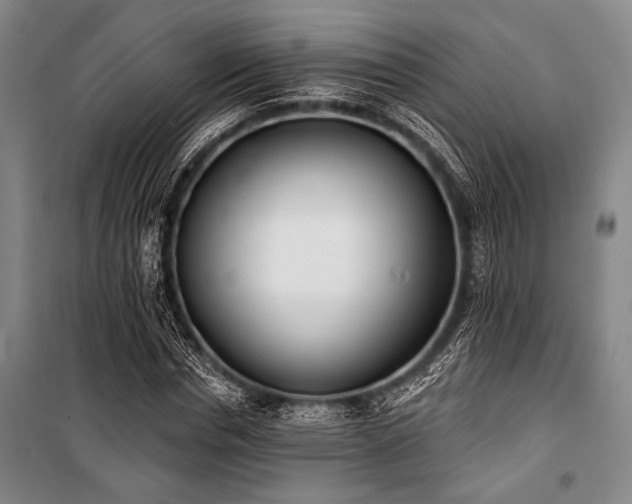 X0000101200826200806271349