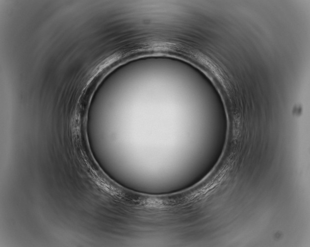 X0000101200827200806271349