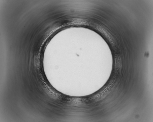 X0000101200828200806271349