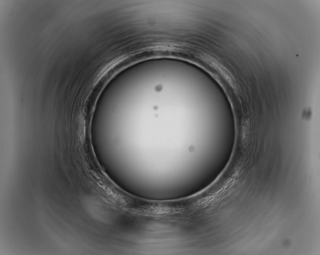 X0000101200829200806271349