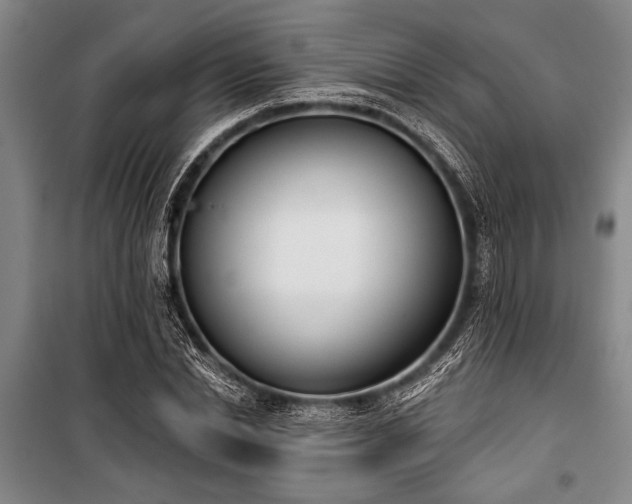 X0000101200830200806271349