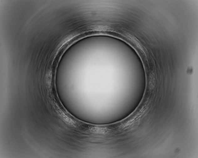 X0000101200831200806271349