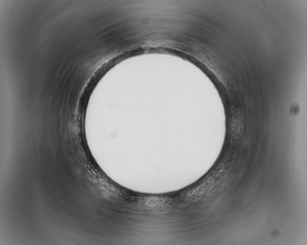 X0000101200832200806271349