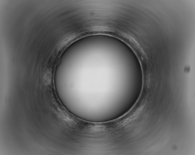 X0000101200833200806271349