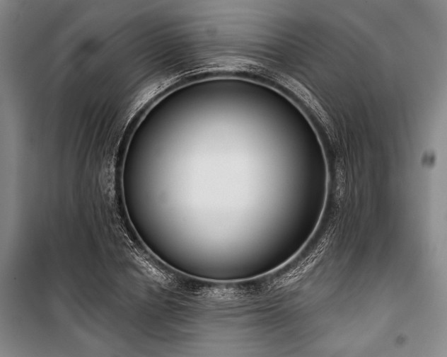 X0000101200834200806271349