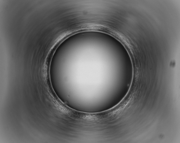 X0000101200835200806271349