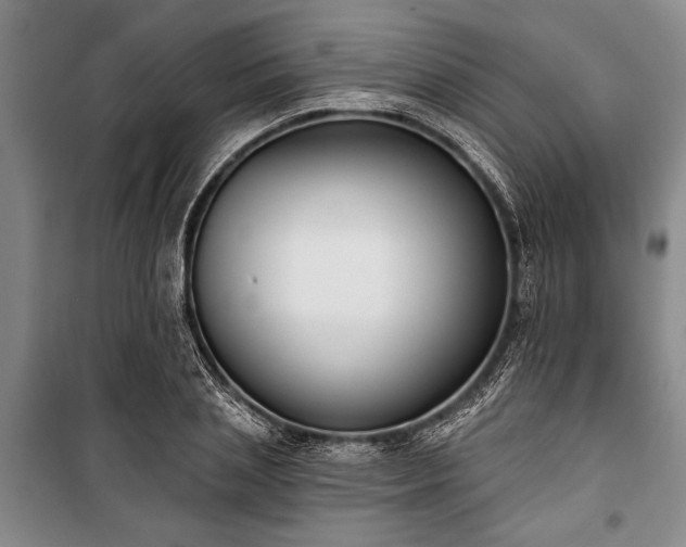 X0000101200837200806271349