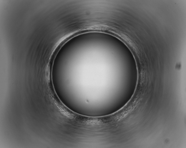 X0000101200838200806271349