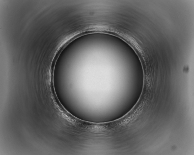 X0000101200839200806271349