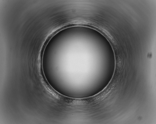 X0000101200840200806271349