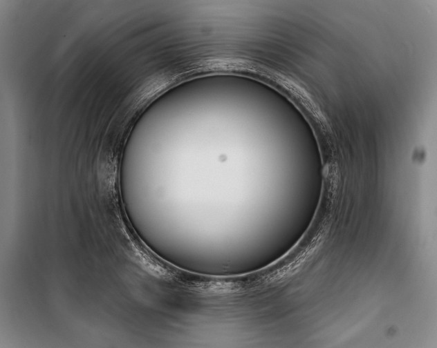X0000101200841200806271349