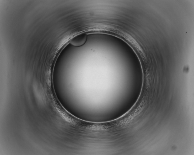 X0000101200842200806271349