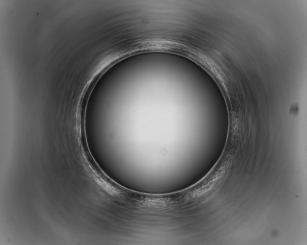 X0000101200843200806271349