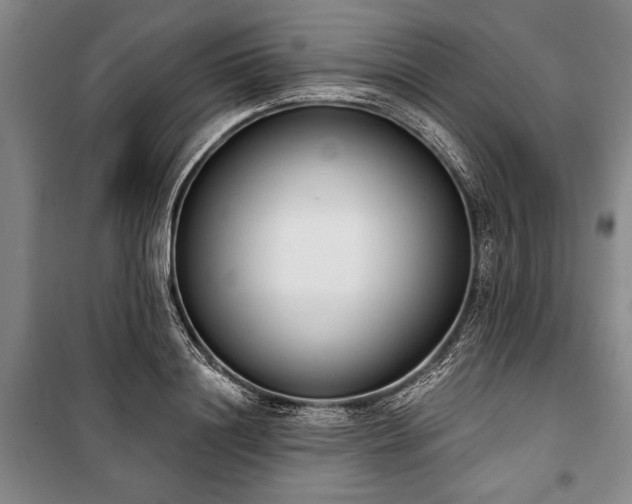 X0000101200844200806271349