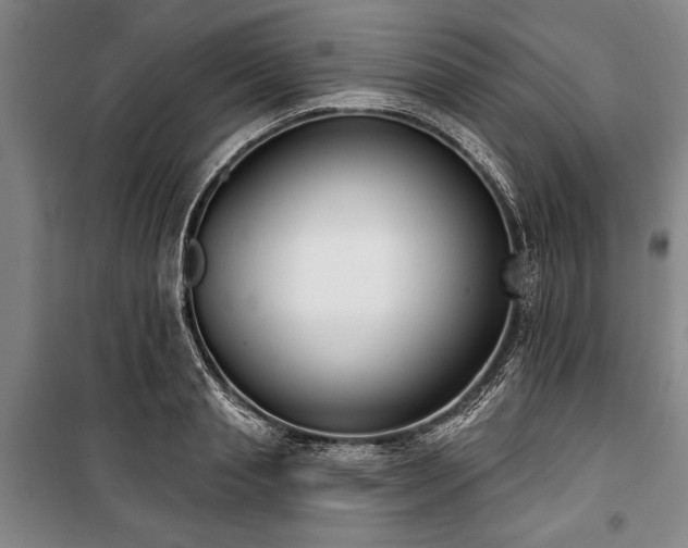 X0000101200845200806271349