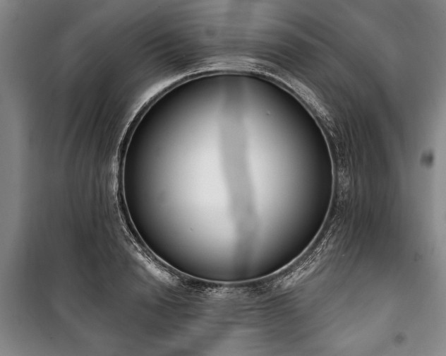 X0000101200846200806271349