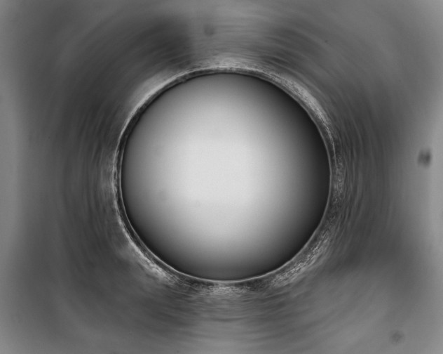 X0000101200847200806271349