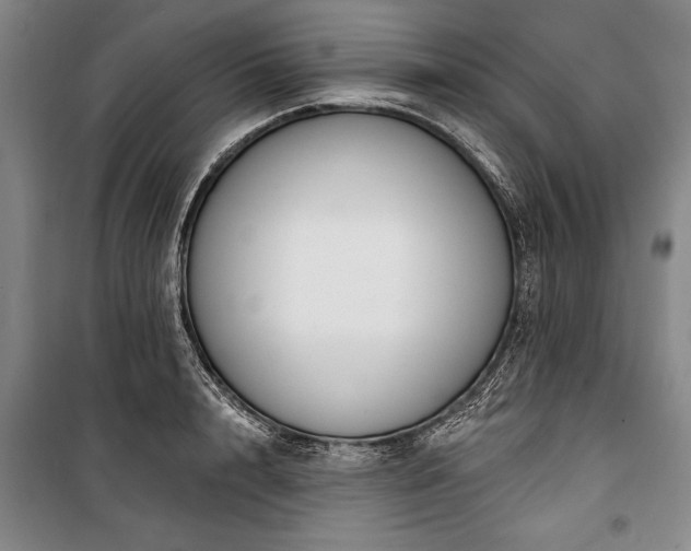 X0000101200848200806271349