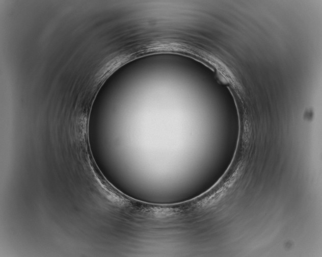 X0000101200849200806271349