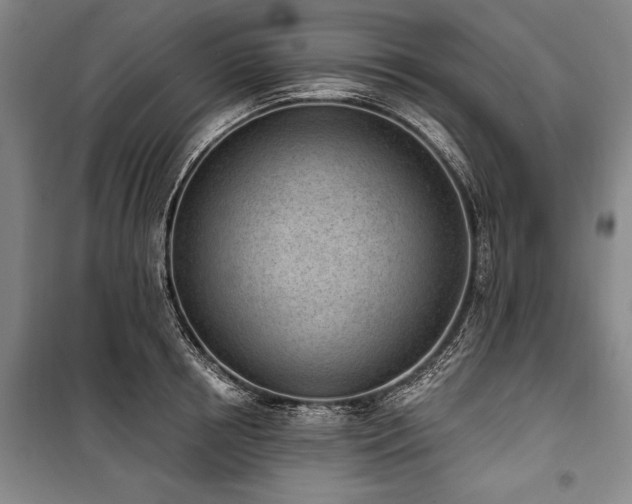X0000101200850200806271349