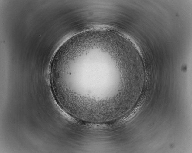 X0000101200851200806271349