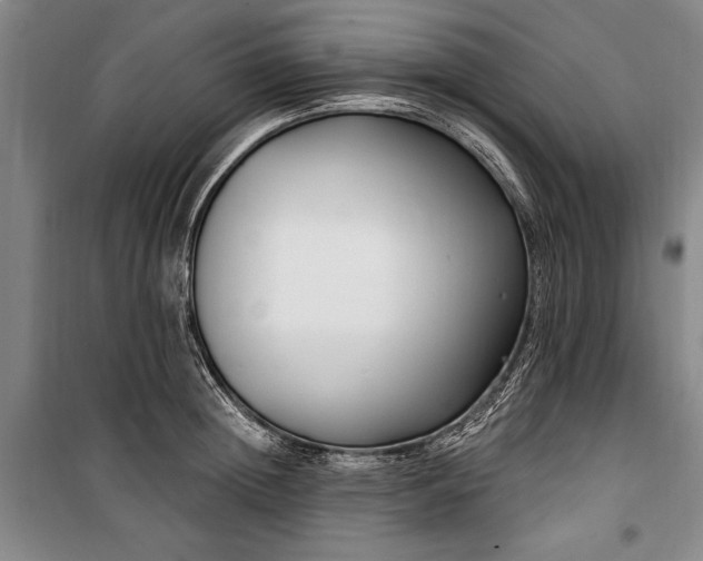 X0000101200852200806271349