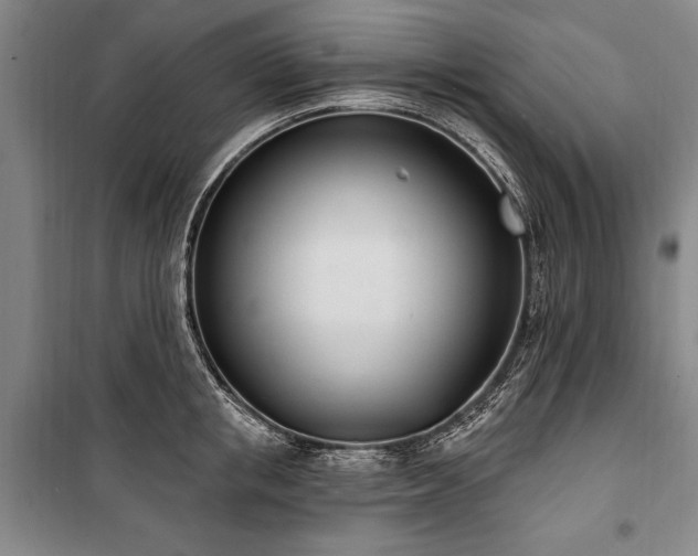 X0000101200853200806271349