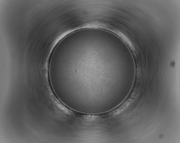 X0000101200854200806271349