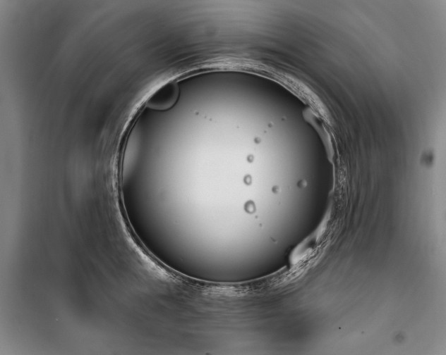 X0000101200855200806271349