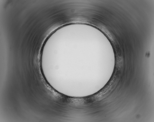 X0000101200856200806271349