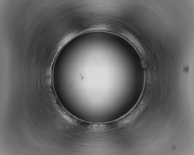 X0000101200858200806271349