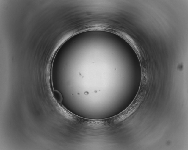 X0000101200859200806271349