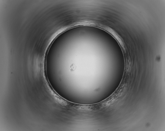 X0000101200861200806271349