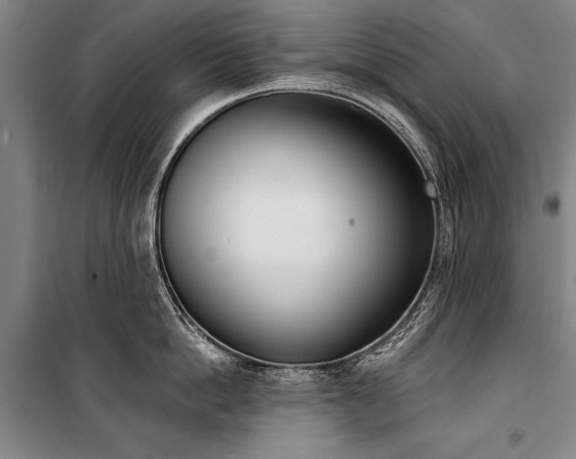 X0000101200862200806271349