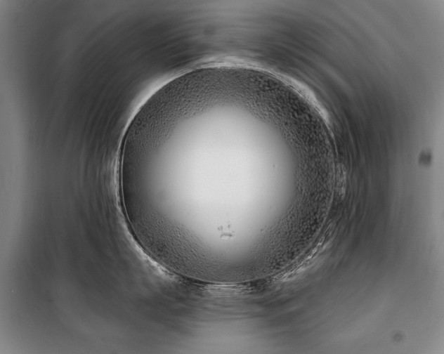 X0000101200863200806271349
