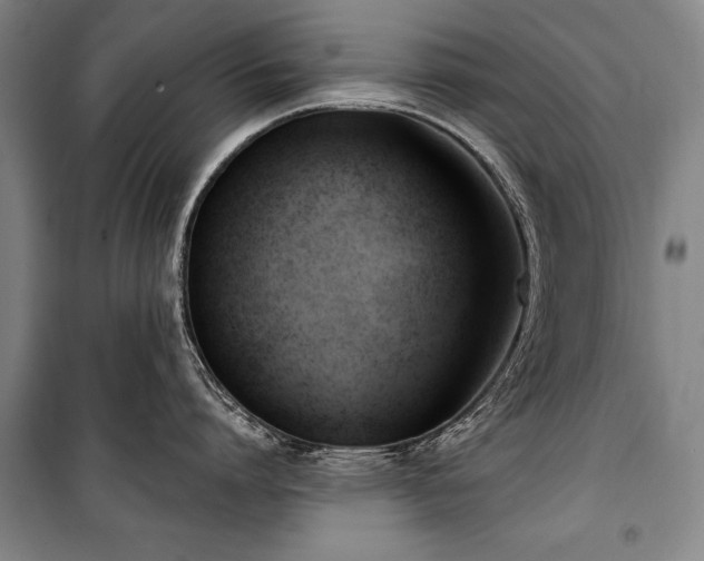 X0000101200864200806271349