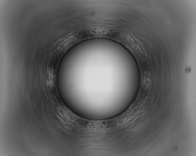 X0000101200866200806271348