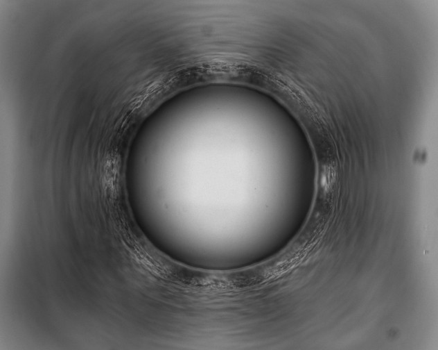 X0000101200867200806271348