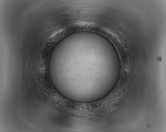 X0000101200869200806271348